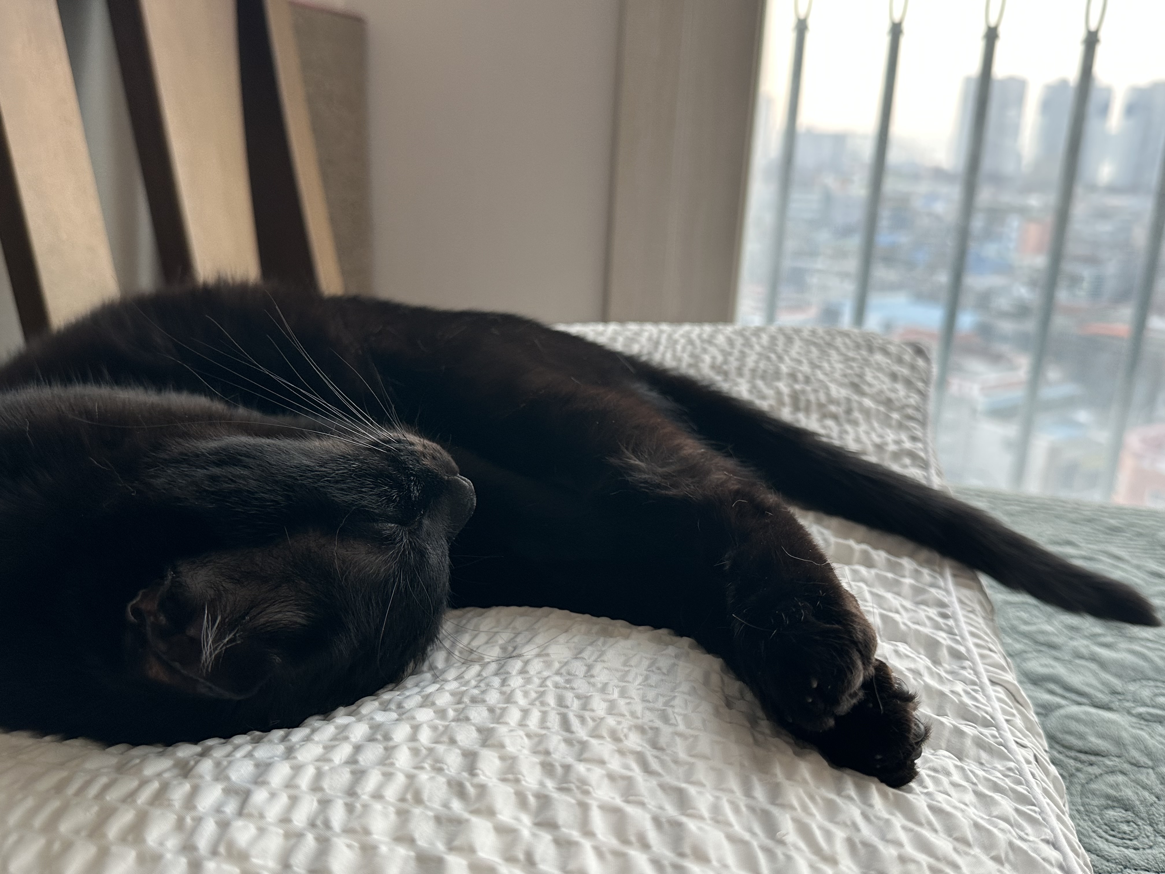 보고 있지 않아도 마음이 통하는 사이.