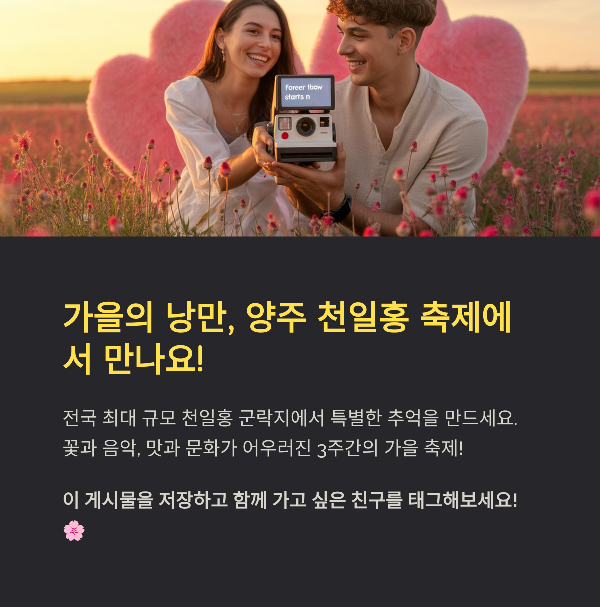 가을의 낭만, 양주 천일홍 축제에서 만나요!