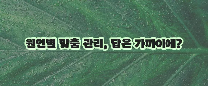 등드름 없애는 법과 원인 확실히 알아봐야죠!