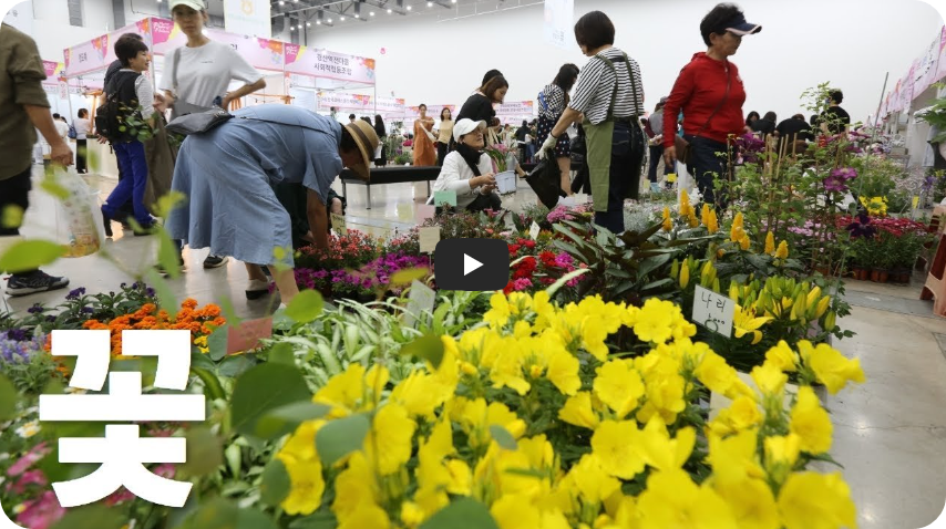 대구 꽃박람회 영상 보러가기 (엑스코 유튜브 채널)