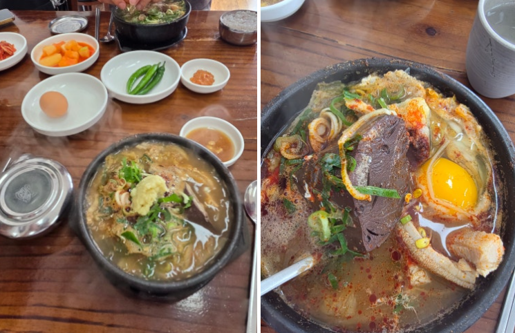 (5월 제주) 중문 은희네해장국 평일 점심 솔직 후기 | 내장탕 먹고 속 제대로 풀린 날