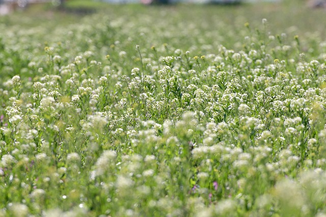 난임 시술비 연말정산&amp;#44; 꼭 알아야 할 절세 방법 총정리