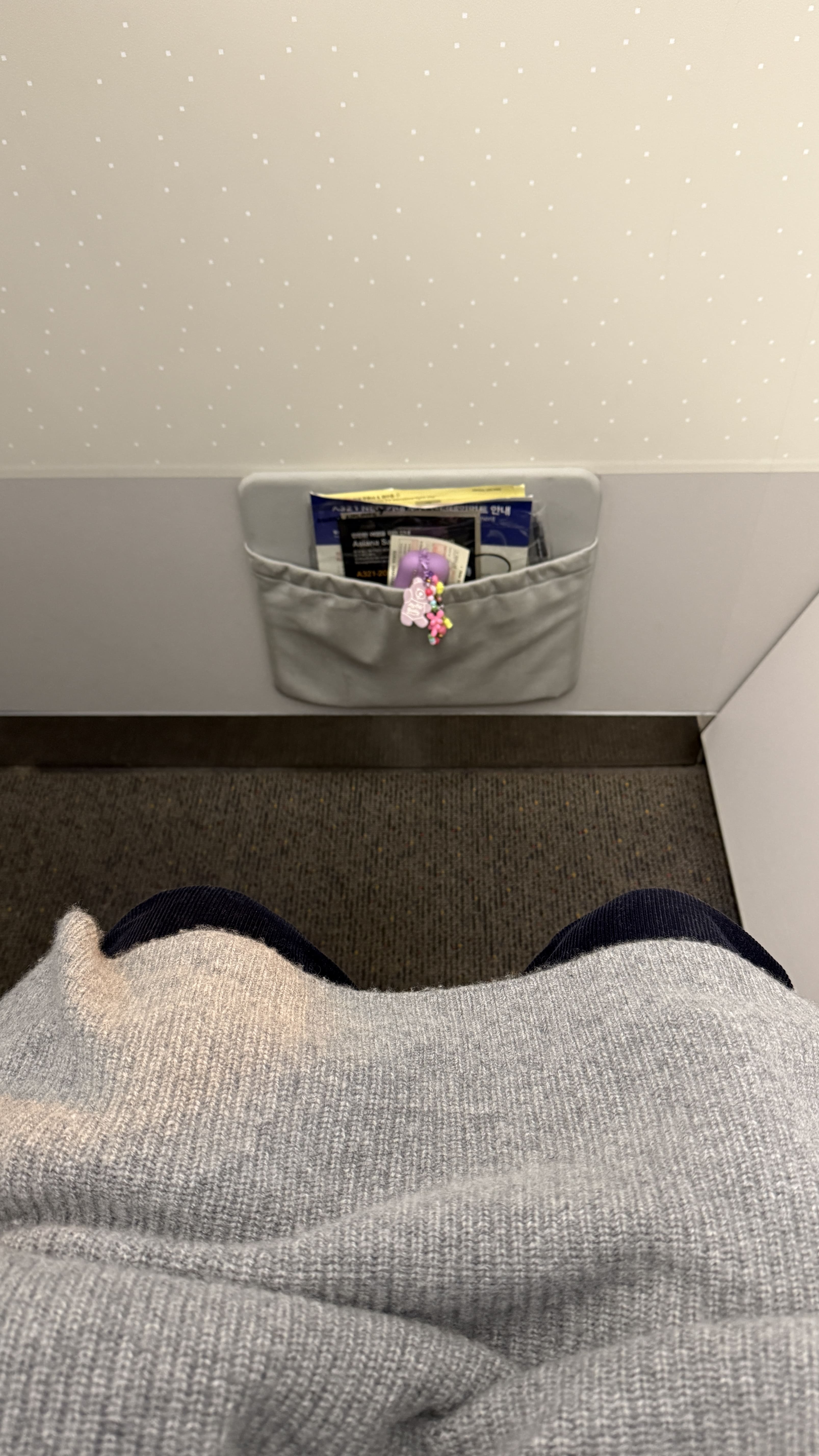 아시아나 비즈니스 클래스 기내식