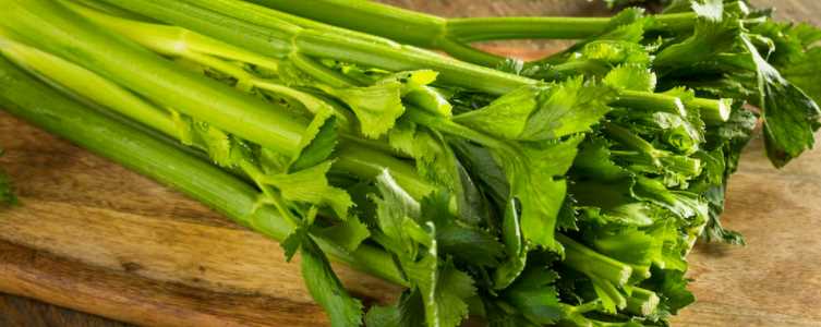 혈압 낮추는 음식 - 셀러리