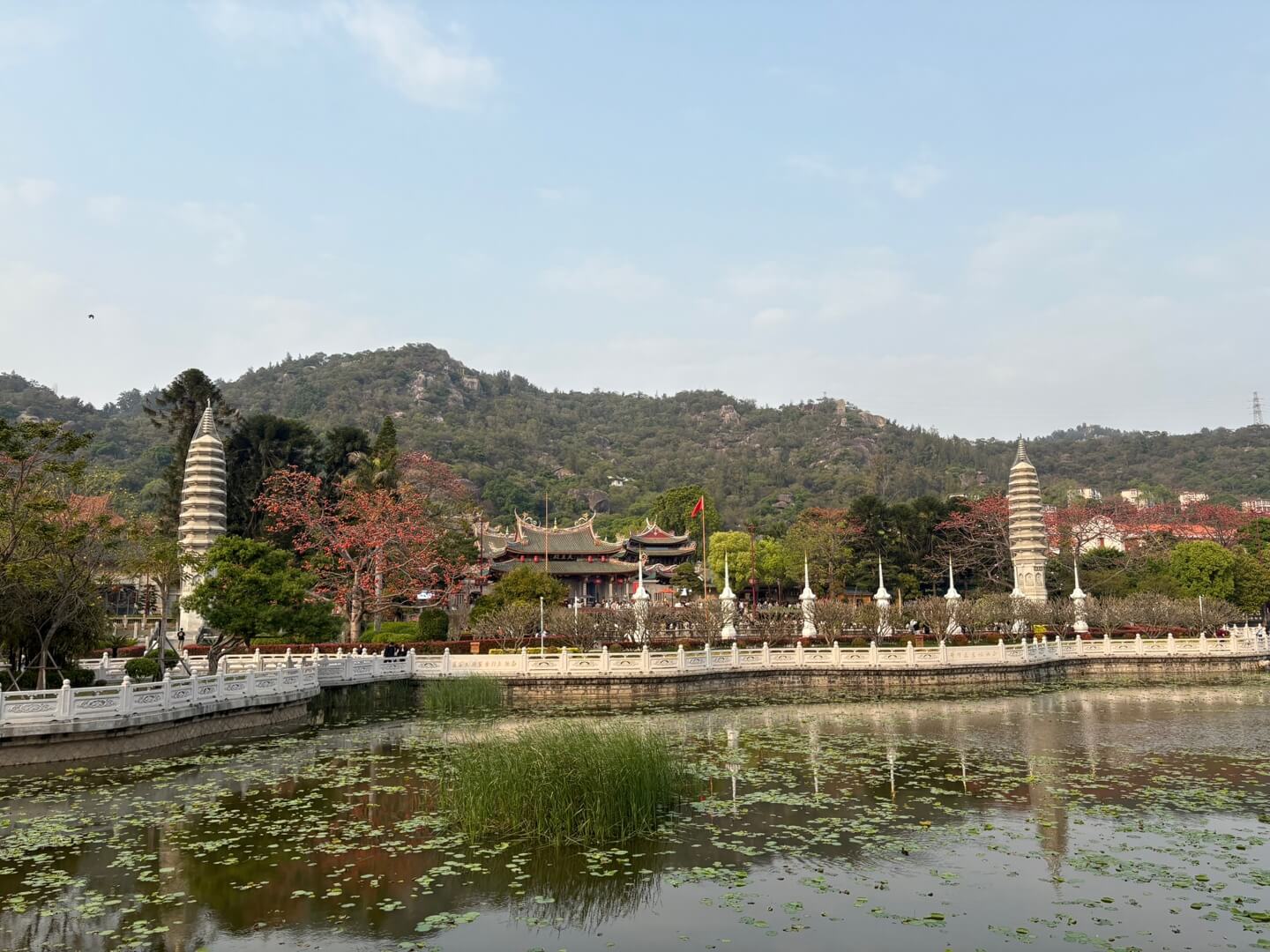 남보타사