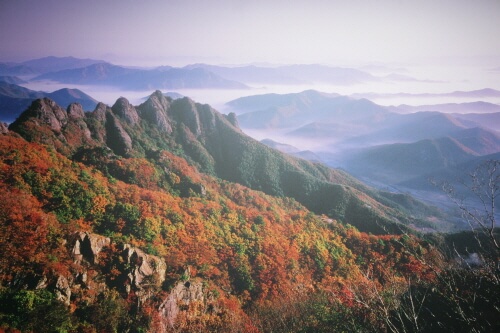 구봉산 (사진출처:대한민국구석구석)