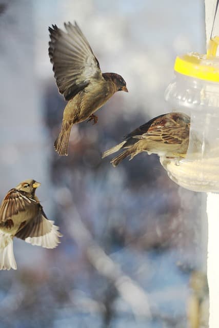 발달장애 아동의 정서적 지원과 부모의 역할