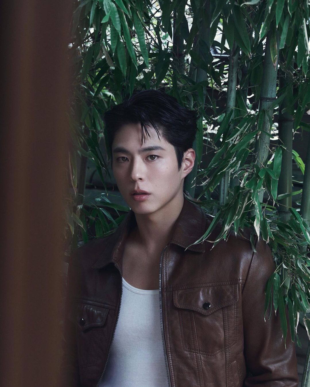 박보검