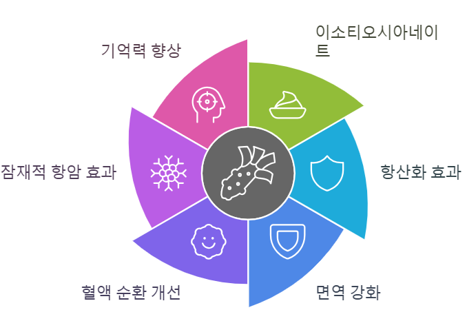 와사비 효능
