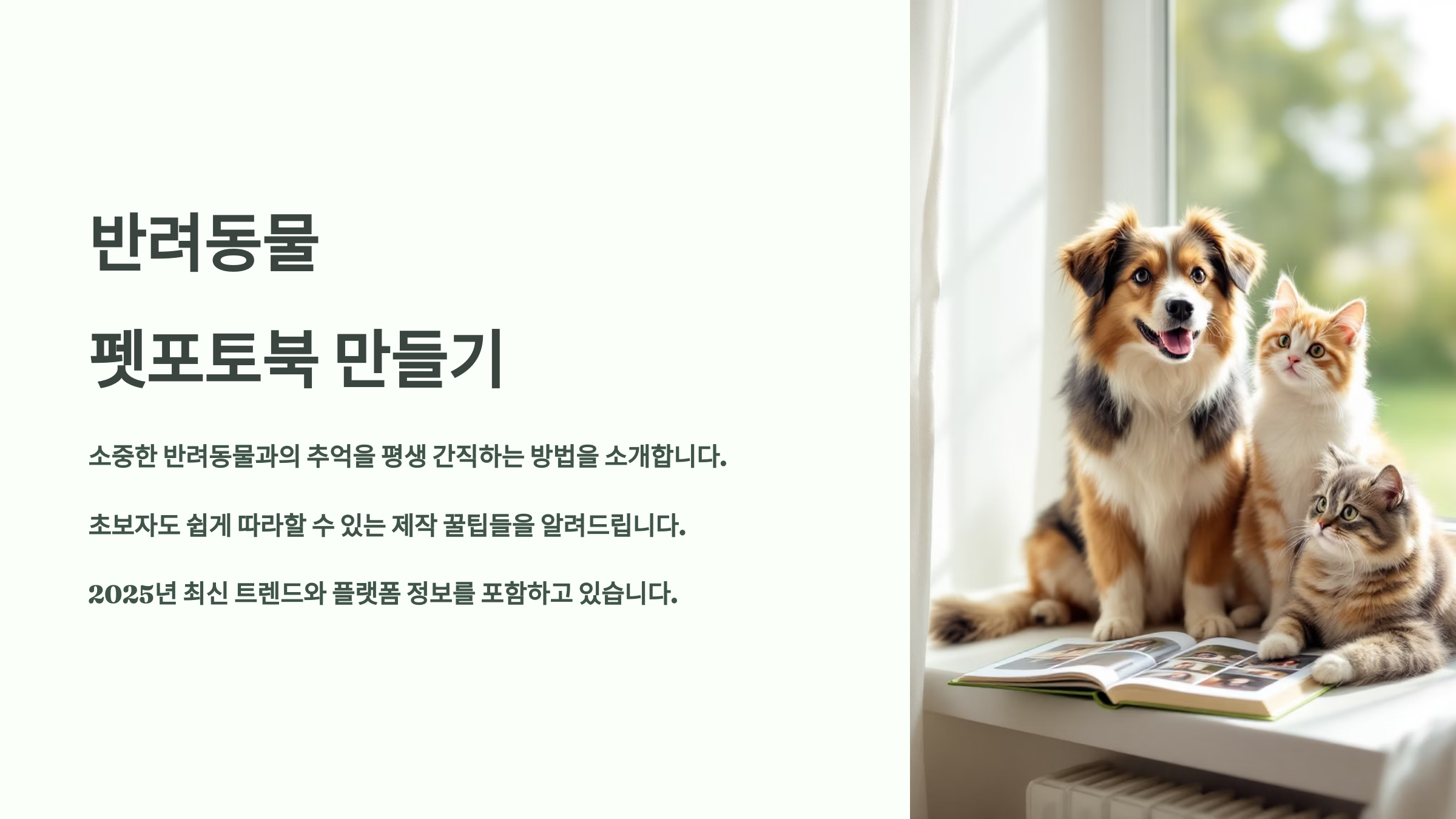 반려동물 펫포토북 만들기, 처음이라면 꼭 알아야 할 제작 꿀팁