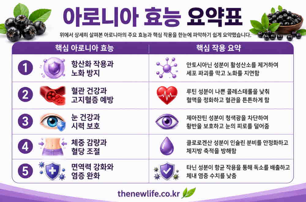 아로니아 효능 요약표