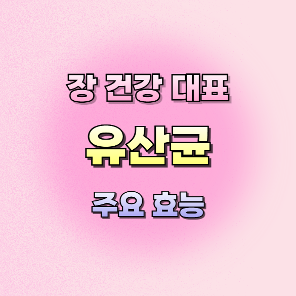유산균효능