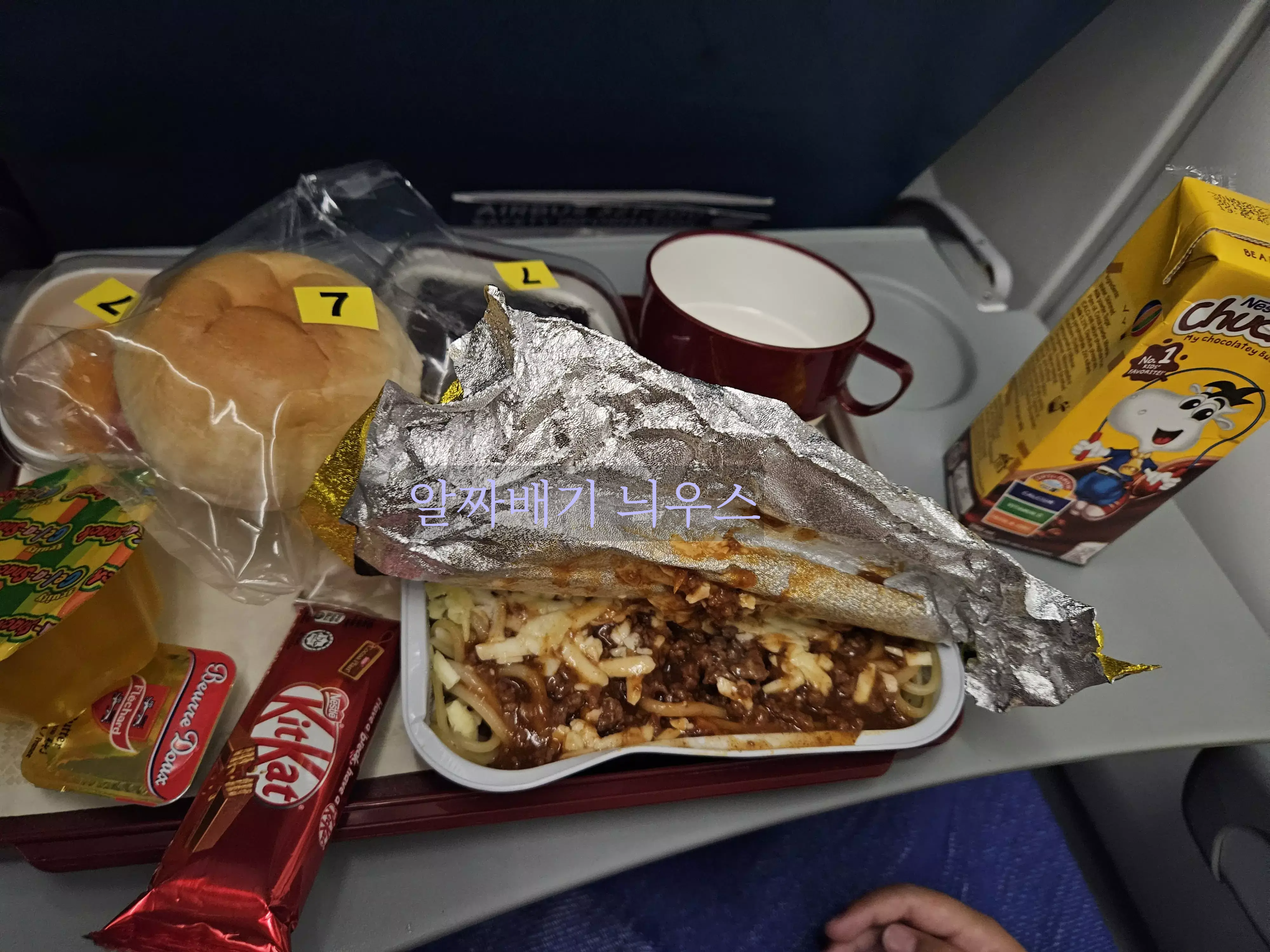 필리핀 항공 아동식