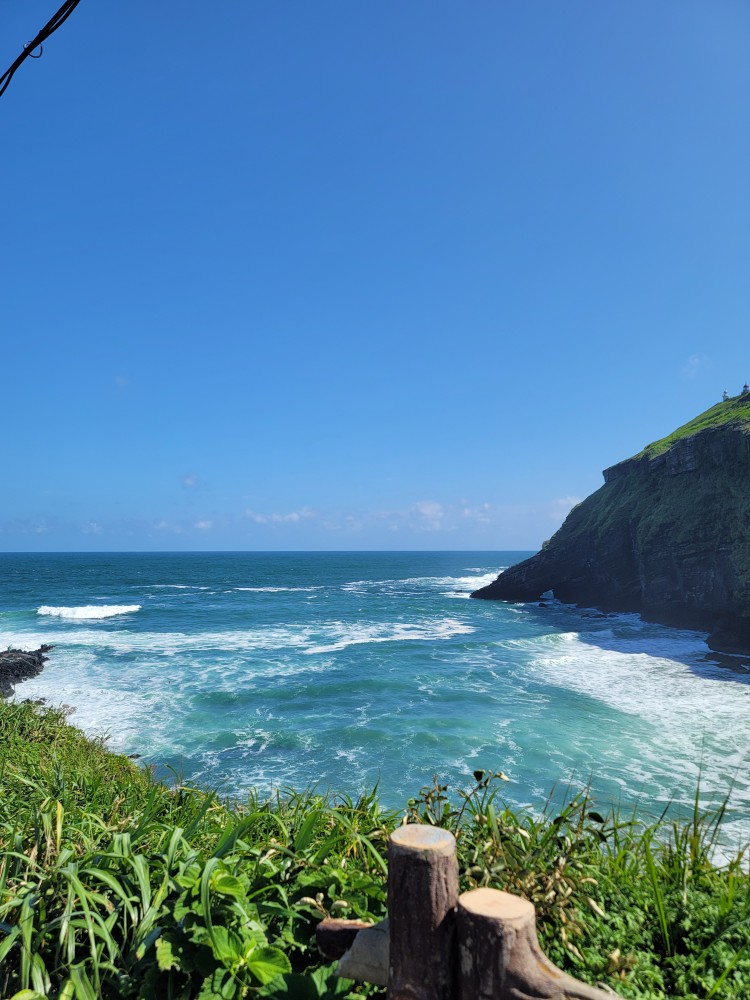 제주도 아쿠아플라넷 여행에 대해 알려드립니다.