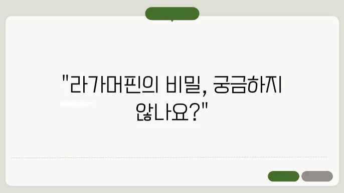 라가머핀 고양이의 매력적인 외모 특징, 외모 팁