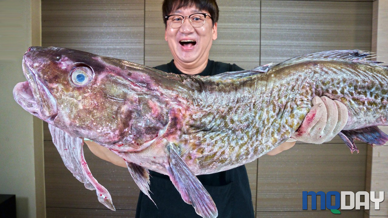 김지민 유튜브 채널 입질의추억