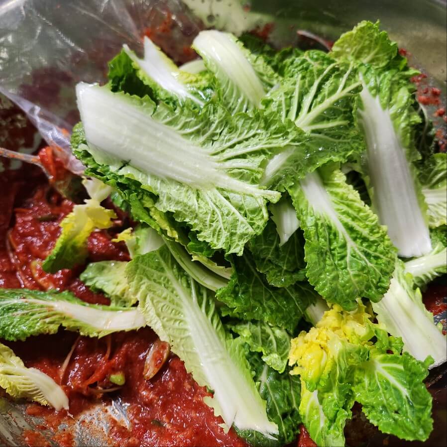 알토란 제철 봄동 봄 채소 맛있는 겉절이 만드는 법 깨알 팁