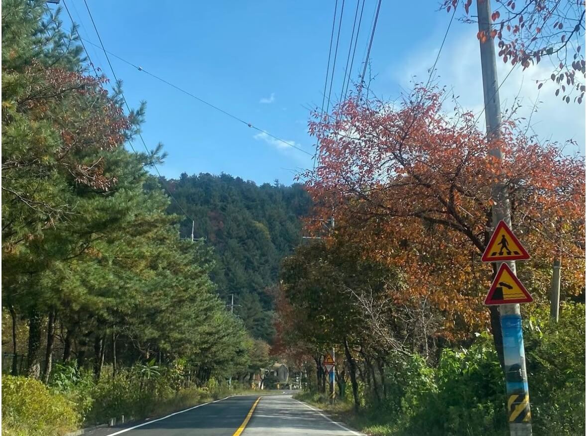 명성산 억새꽃축제