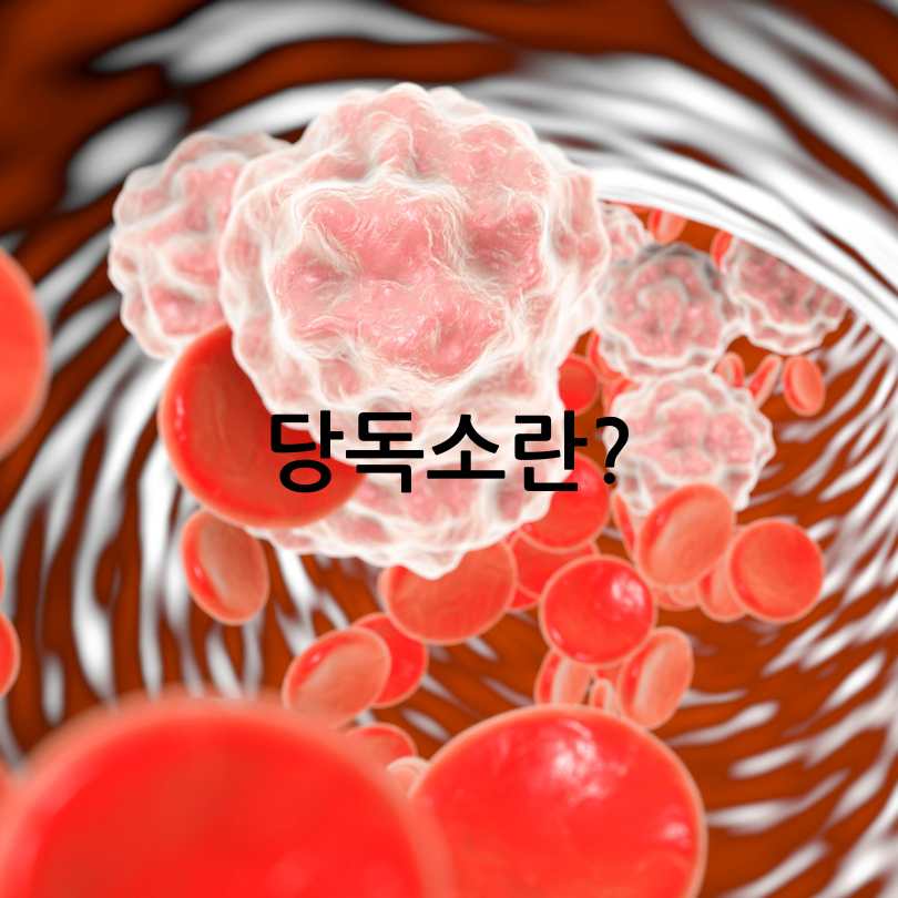 당독소다이어트