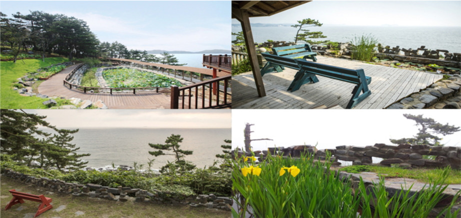 보령 죽도 상화원, 금토일에만 열리는 서해 섬정원 완전 정복!