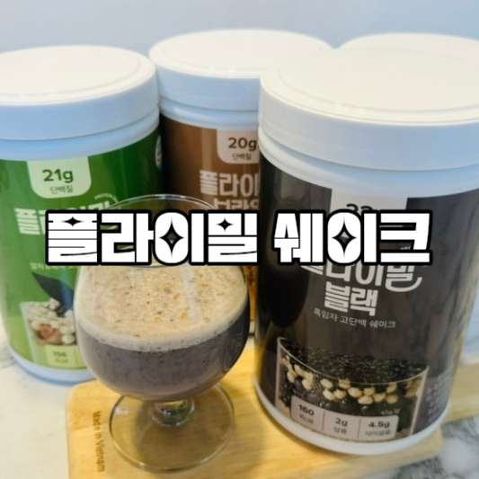 플라이밀 단백질 쉐이크