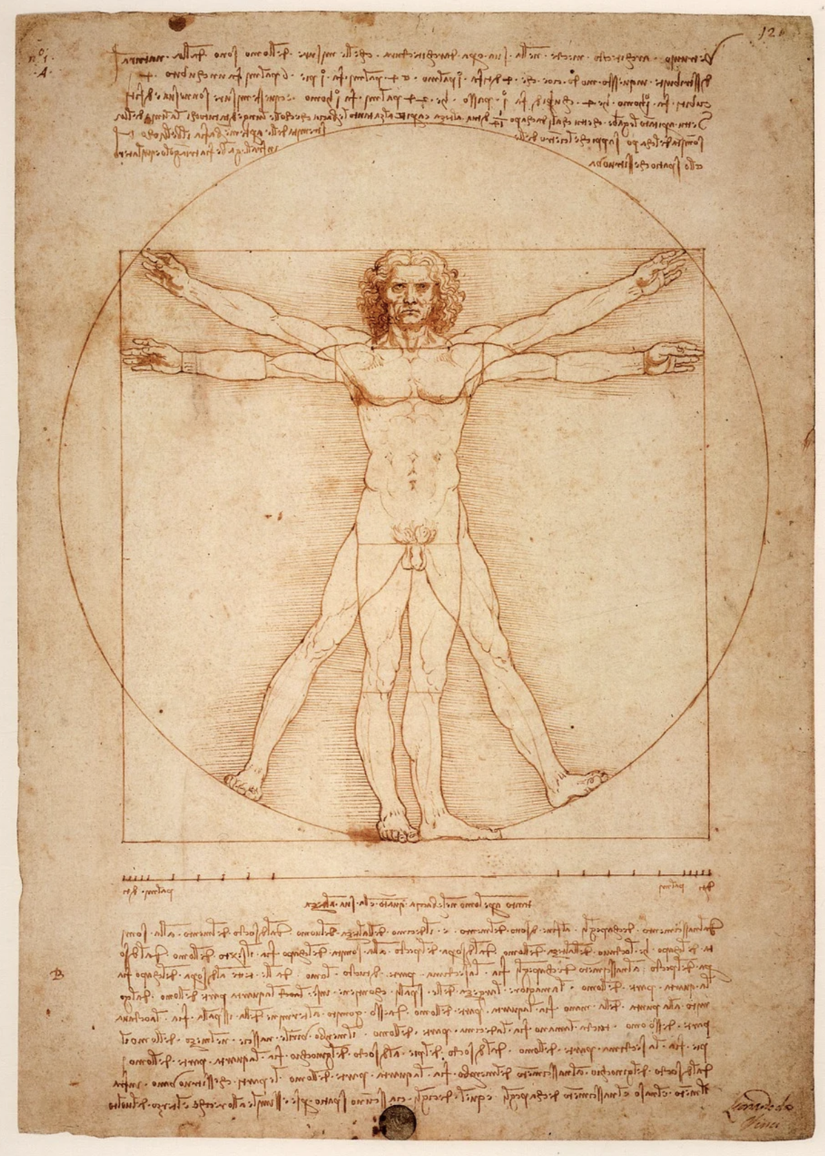 숨겨진 비밀, 작품 속 시크릿 코드