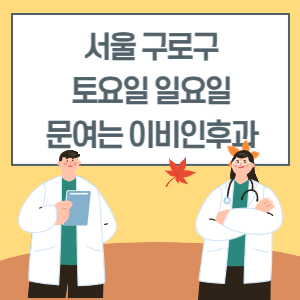 서울 구로구 토요일 일요일 이비인후과 진료 병원 리스트
