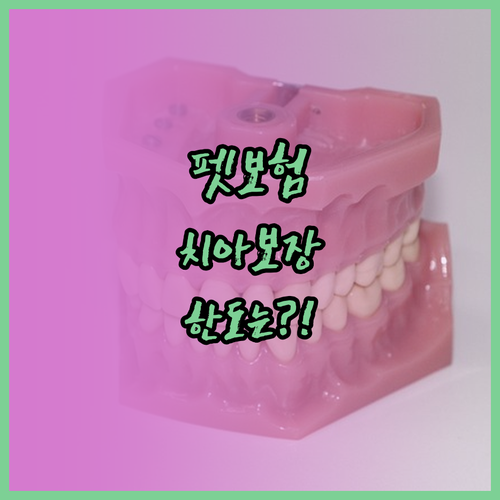 펫보험 치과 치료 보장 한도와 조건..