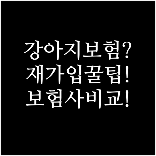 강아지 보험 재가입 심사 기준과 보험..
