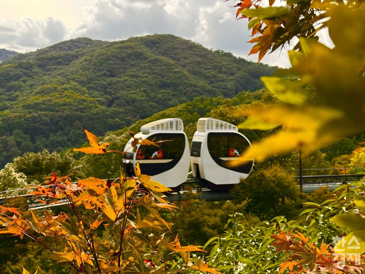 화담숲 모노레일