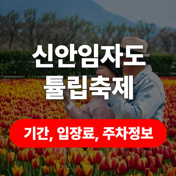 신안임자도튤립축제썸네일