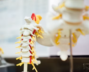 만성 요통 진단기준 치료법 합병증 관리