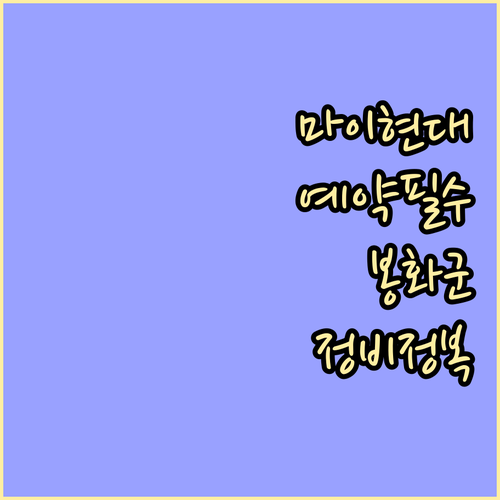 현대자동차 마이현대 앱 활용 예약과 ..