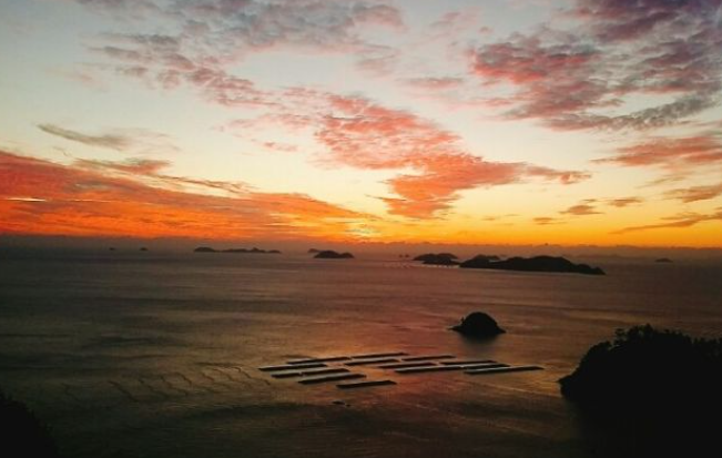 1월 전라남도 가볼만한곳 추천 ❘ 새해 신년 국내 겨울 여행지 ❘ 전라도 명소 ❘ 가족 실내 데이트