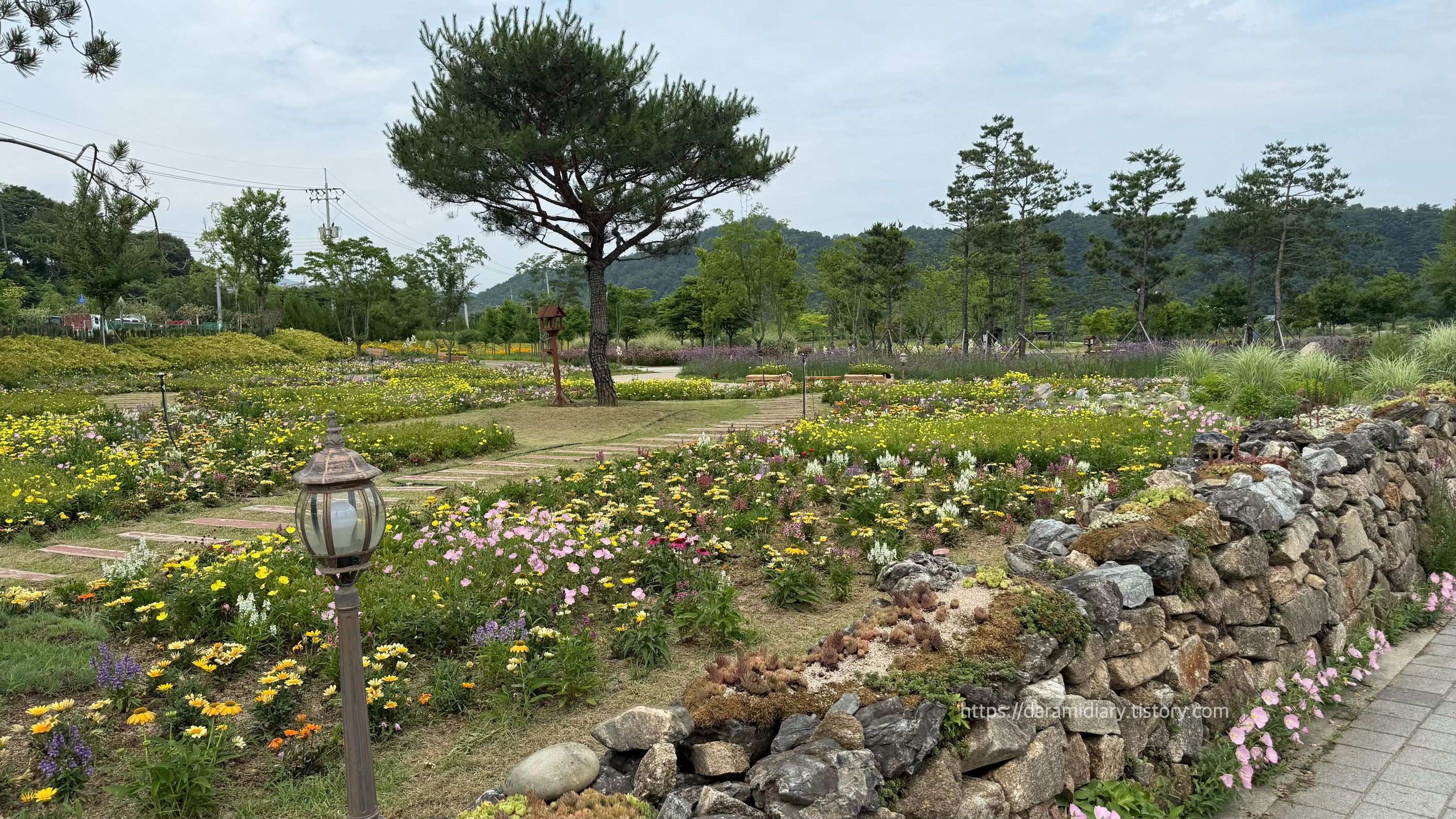영월 동서강정원연당원
