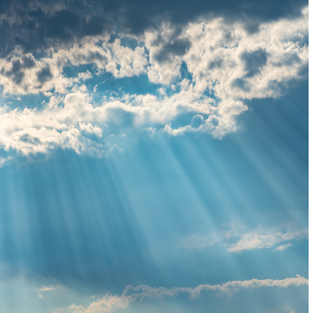 기상청 날씨누리