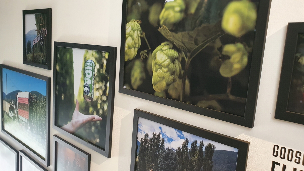 구스아일랜드-16