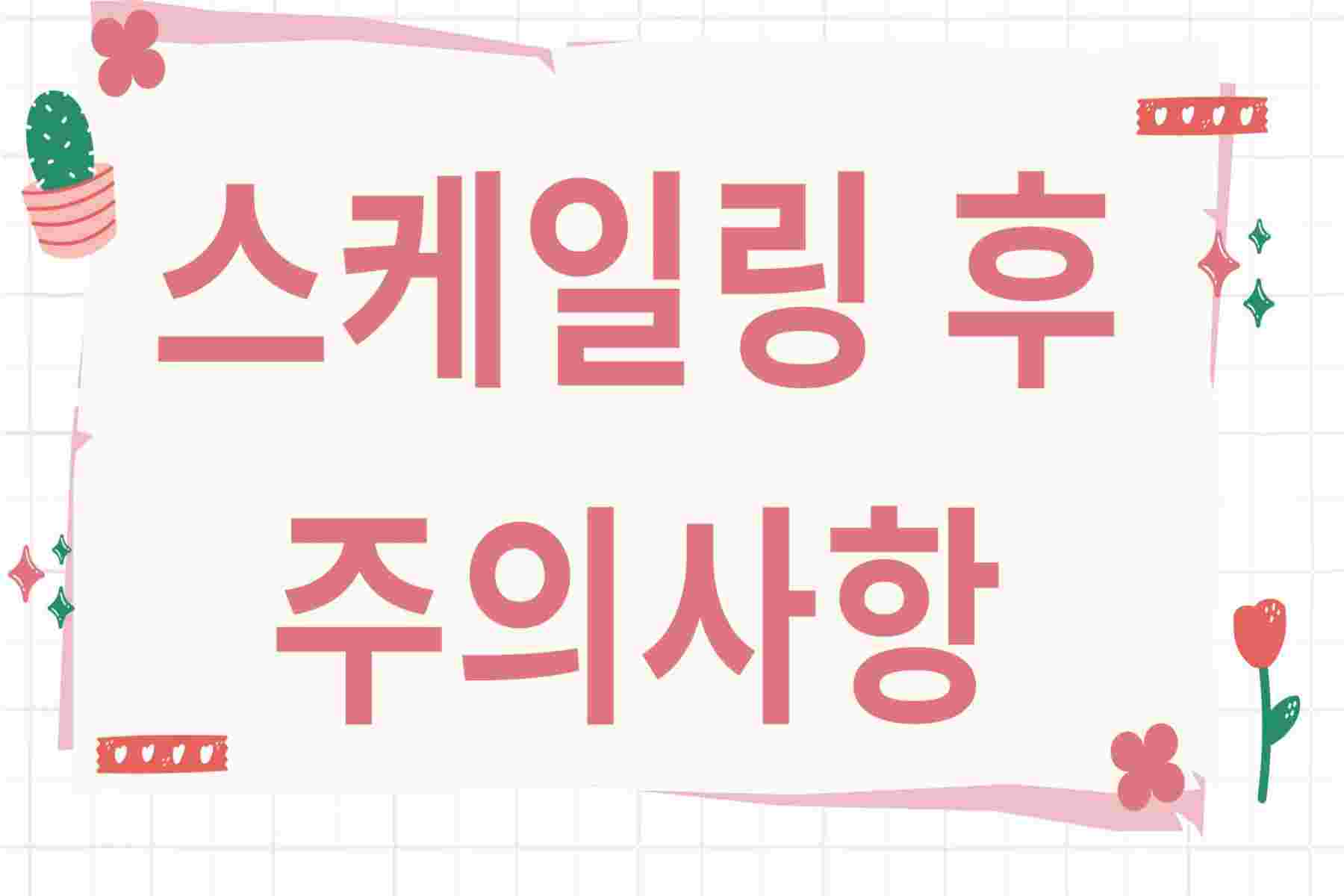 스케일링 후 주의사항