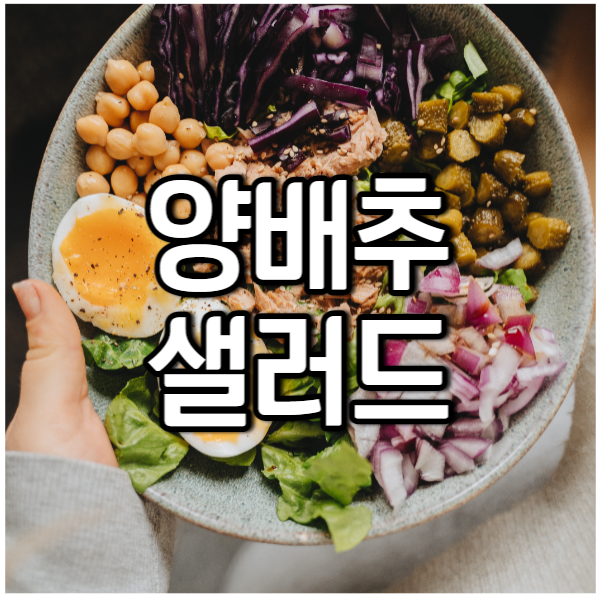 양배추샐러드