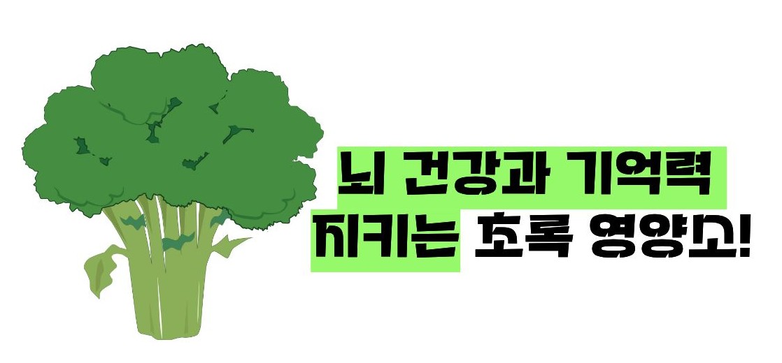 브로콜리 효능