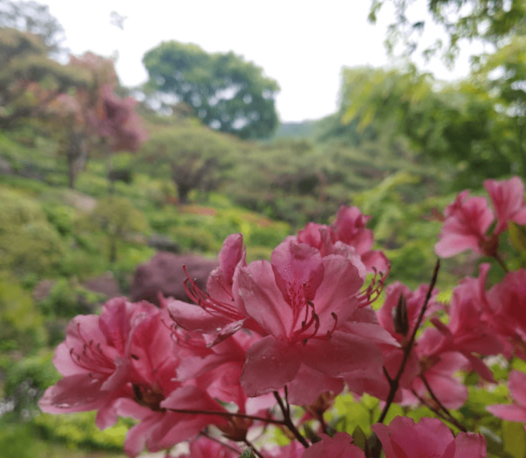 화담숲 예약 입장료 화담채 