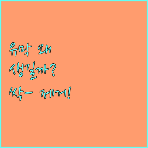 자동차 유막, 왜 생길까? 깨끗한 시