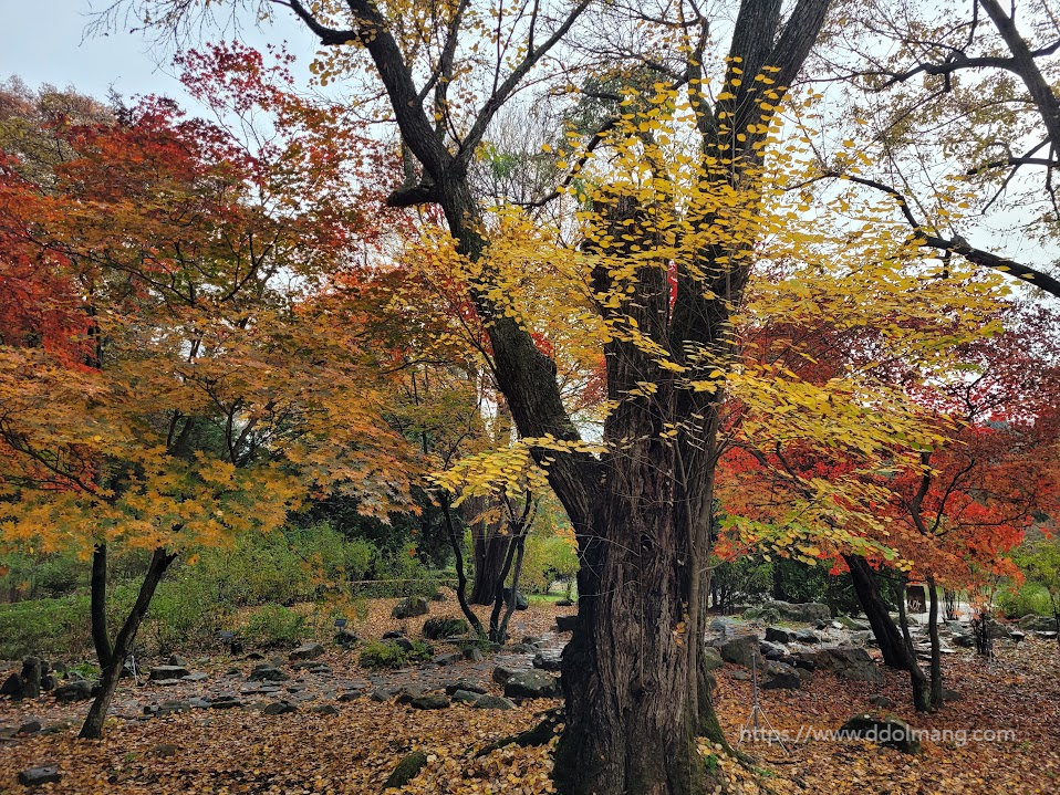 울긋불긋 단풍