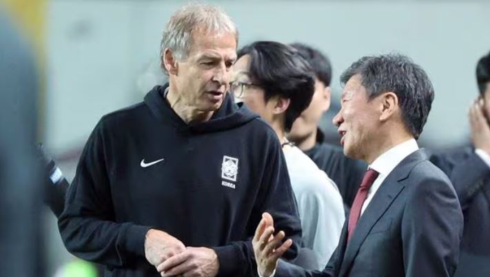 문체부 대한축구협회 감사 홍명보 대표팀 감독