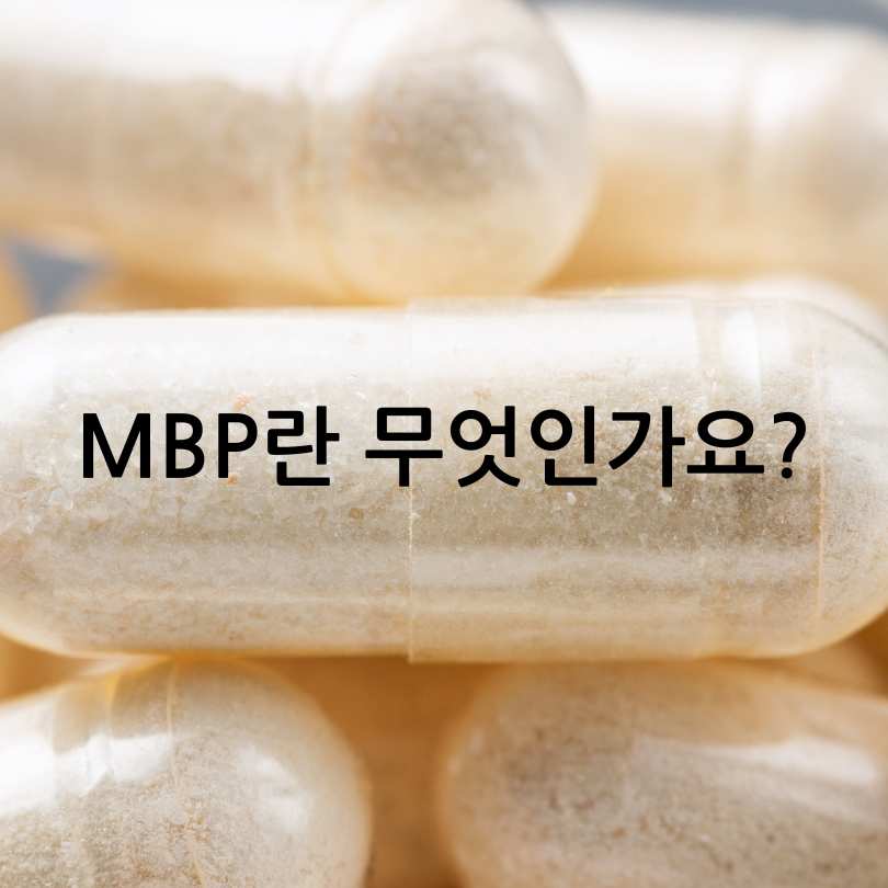 MBP과 콘드로이친 차이점