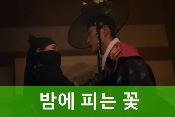 밤에 피는 꽃