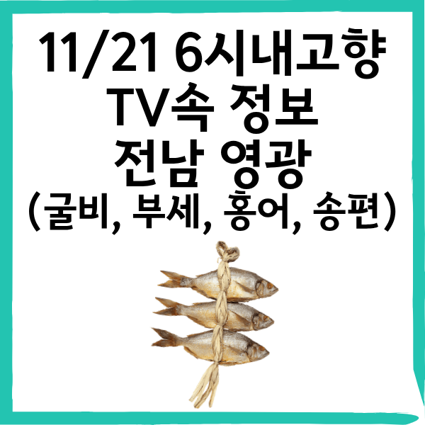 11/21 6시 내고향 전남 영광｜굴비, 부세, 홍어, 송편 총정리