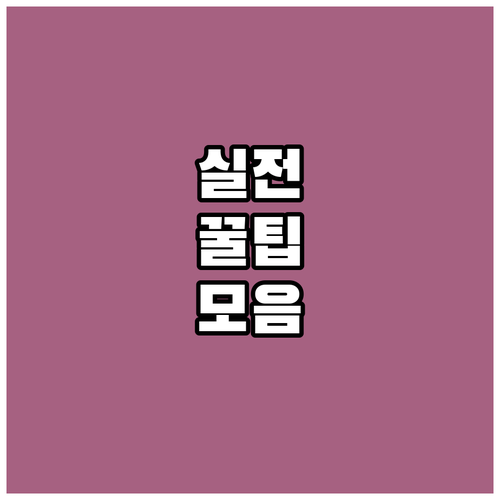 자동차 검사 유효기간 조회 방법, 과..