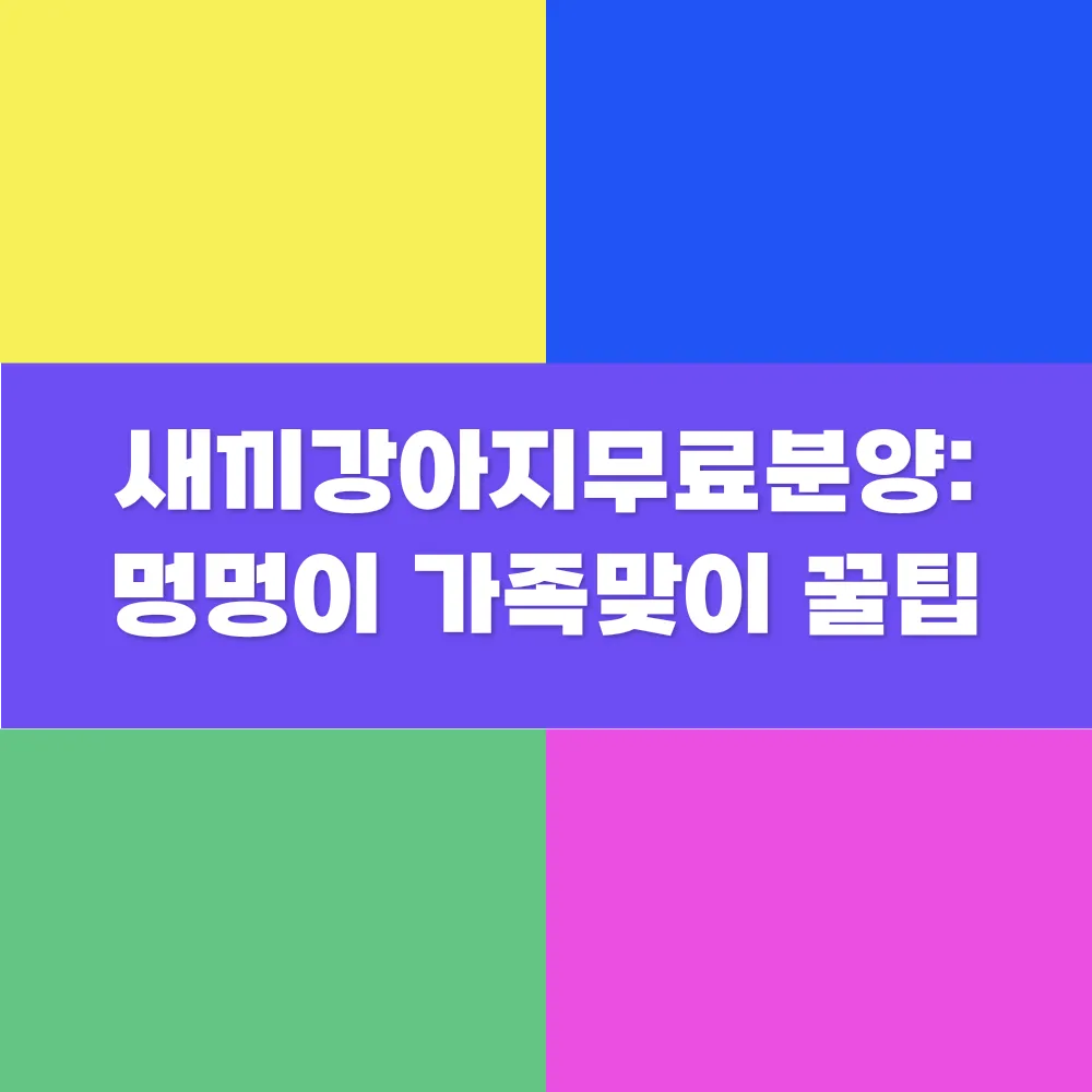 썸네일 이미지