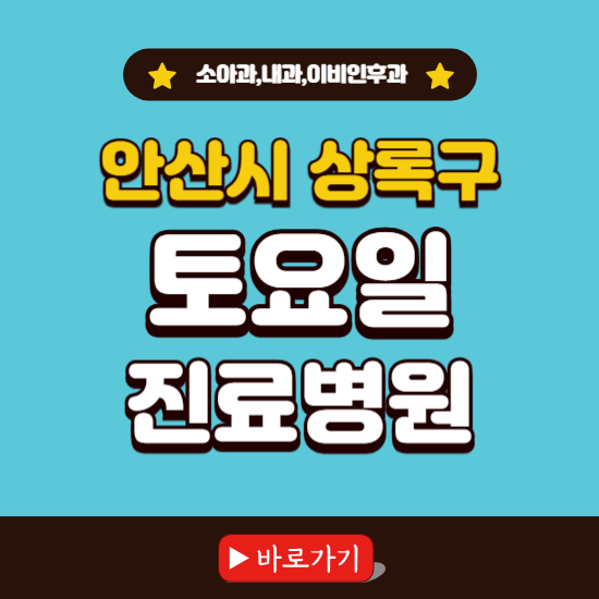 안산시 상록구 토요일 진료 병원 찾기 ❘ 주말 문여는 소아과, 내과, 이비인후과 리스트